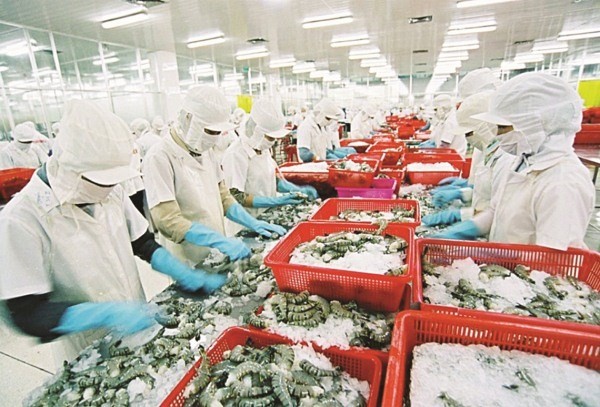 Vietnam capitalizes on FTAs - ảnh 1