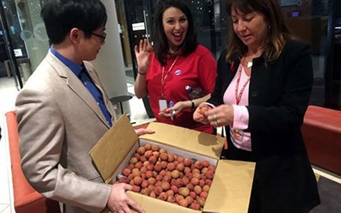 Vietnamese lychees much sought after in Australia - ảnh 1