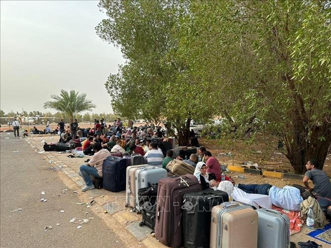 UN calls for safe passage of relief supplies for Sudan - ảnh 1