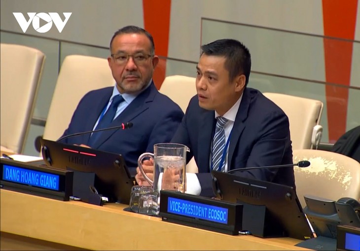 Vietnam hailed for its role in implementing SDGs - ảnh 1