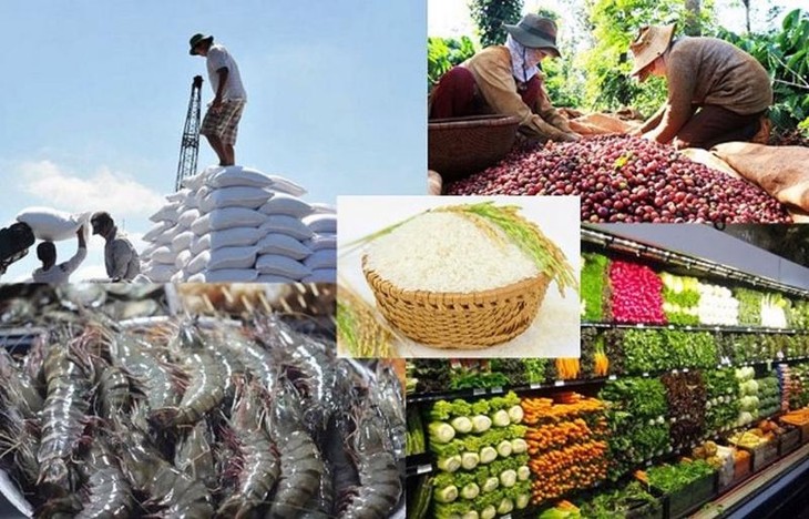Agro-forestry-fisheries exports hit 43 billion USD - ảnh 1