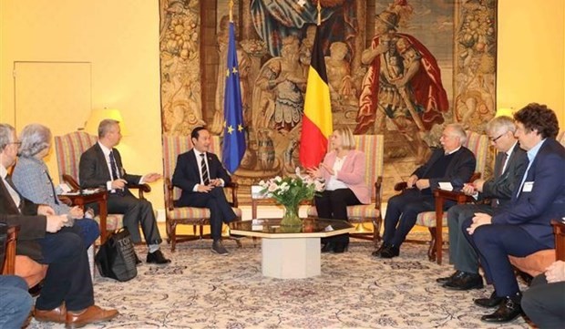Vietnam, Belgium increase collaboration to support AO victims - ảnh 1