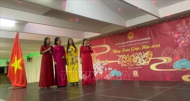 Overseas Vietnamese celebrate Lunar New Year festival - ảnh 4