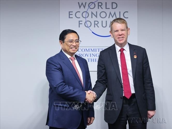 Vietnam emerges as trade and innovation center in Asia-Pacific: New Zealand expert - ảnh 1
