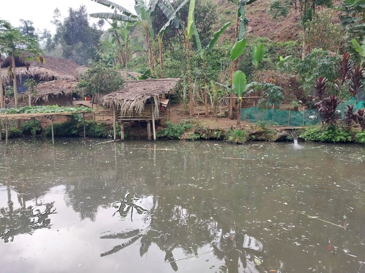 “Ca bong” farming changing Bao Yen district, Lao Cai province - ảnh 2