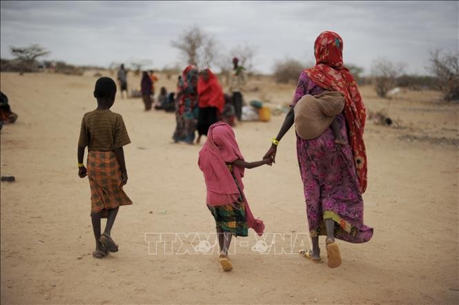 More than 74 million people face food insecurity in Horn of Africa - ảnh 1