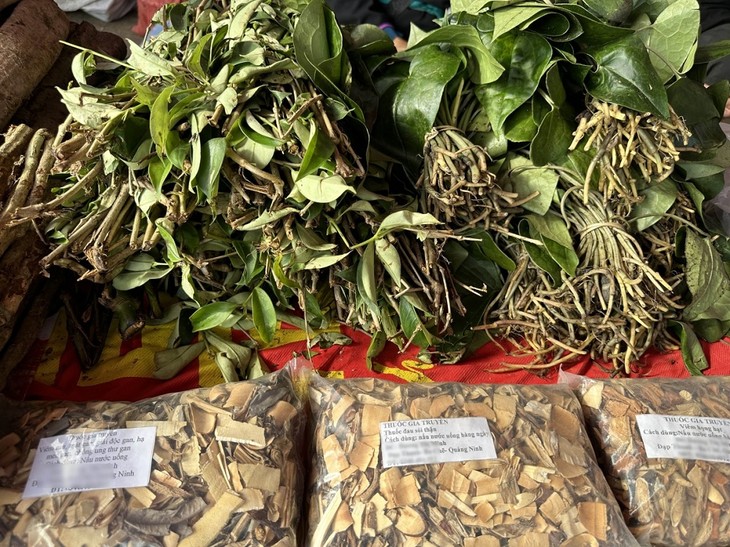 Tay ethnic people preserve traditional medicinal plants - ảnh 1