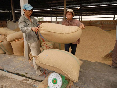 越南农业部门排除困难，加强农产品出口  - ảnh 1