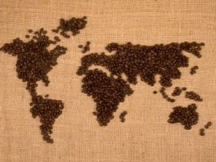 越南咖啡出口面向可持续发展 - ảnh 2