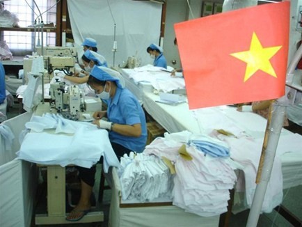 越南企业自我重组，渡过经济危机 - ảnh 2