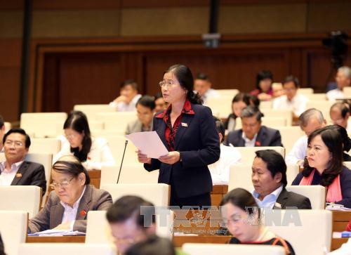 越南国会通过2017年中央财政预算分配决议 - ảnh 1