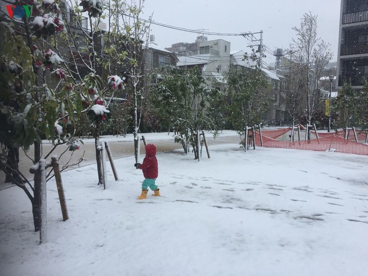 Chiêm ngưỡng vẻ đẹp của tuyết rơi giữa mùa xuân tại Nhật Bản - ảnh 6