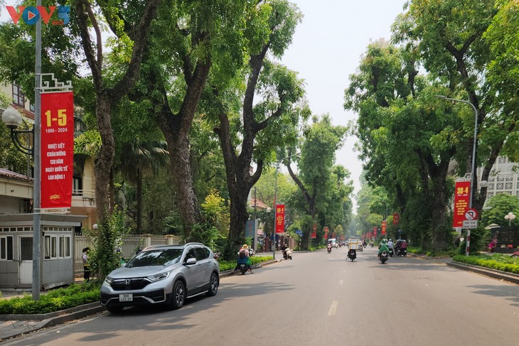 Đường phố Thủ đô Hà Nội cờ hoa rực rỡ chào mừng đại lễ - ảnh 2