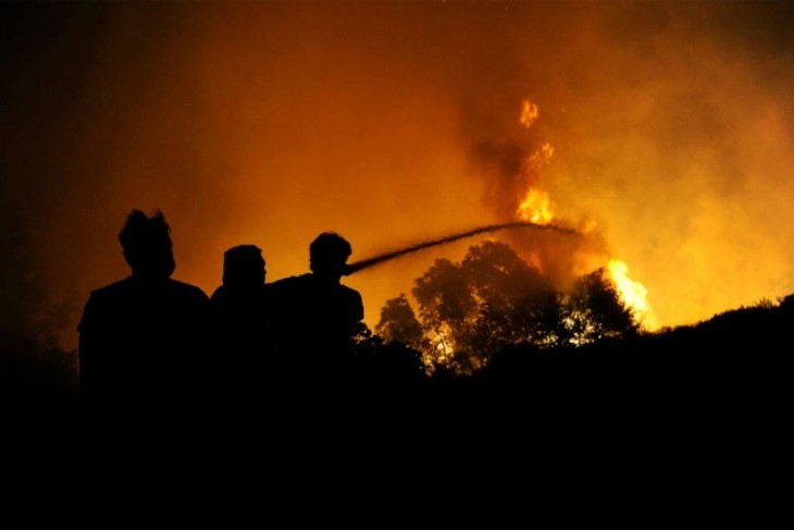 La Grèce lutte contre trois grands fronts d’incendie - ảnh 1