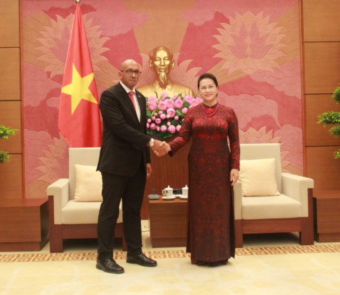 Nguyen Thi Kim Ngan reçoit l’ambassadeur cubain - ảnh 1