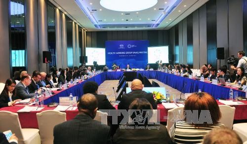 APEC 2017: Ouverture de la 2ème réunion du groupe de travail sur la santé - ảnh 1