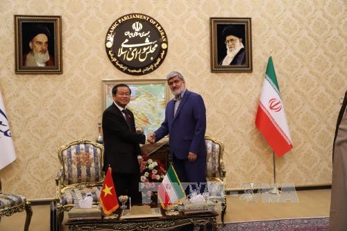 Vers une coopération parlementaire accrue entre le Vietnam et l’Iran - ảnh 1