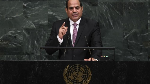 L'Égypte veut revenir sur le devant de la scène diplomatique au Proche-Orient - ảnh 1