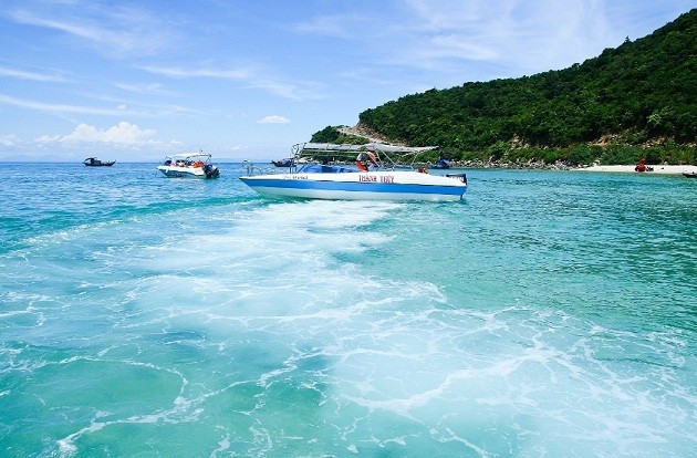 Découvrir la mer et les îles de Quang Nam - ảnh 1