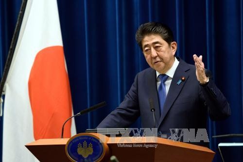 Législatives au Japon: Shinzo Abe reconduit à la tête du gouvernement - ảnh 1