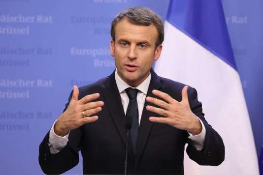 Emmanuel Macron promeut la coopération avec l’Afrique - ảnh 1