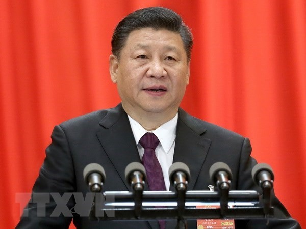 Xi Jinping appelle à renforcer les relations avec les pays de la région - ảnh 1