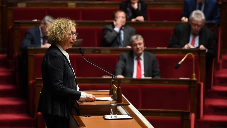 France: Le Parlement adopte des mesures d'urgence «Gilets jaunes» - ảnh 1