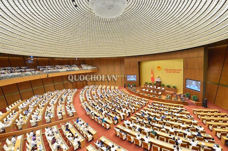 L’Assemblée nationale approuve le bilan 2017 et les programmes législatifs de 2019-2020 - ảnh 1
