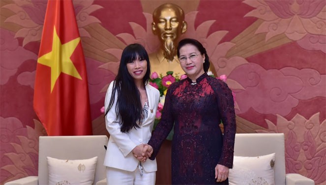 La France attache de l’importance à ses relations avec le Vietnam - ảnh 2