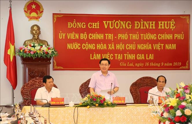 Vuong Dinh Huê en déplacement à Gia Lai - ảnh 1