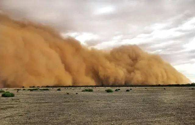 Australie : Après les incendies, tempête de poussière et averses de grêle - ảnh 1