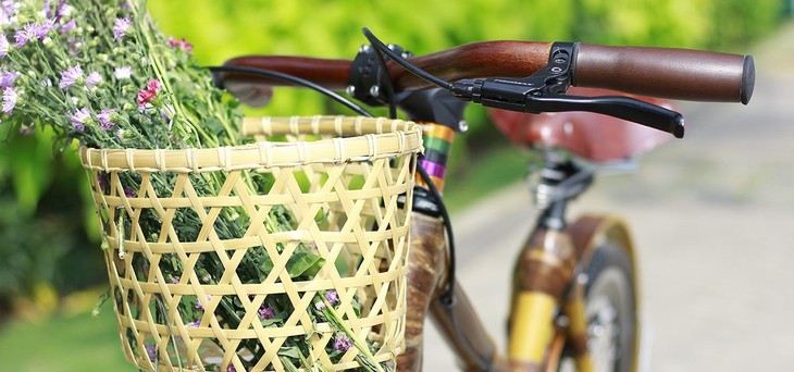 Un vélo en bambou «made in Vietnam» - ảnh 4