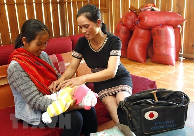 Lancement d’un projet de réduction de la mortalité maternelle dans les zones de minorité ethniques - ảnh 1