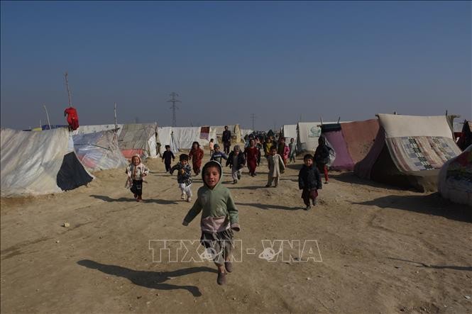 L’ONU met en garde contre une crise humanitaire en Afghanistan - ảnh 1