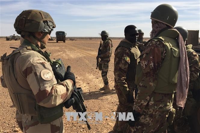 Le Niger autorise la présence de forces étrangères sur son territoire - ảnh 1