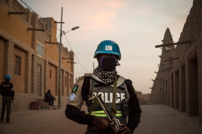 Le Mali a suspendu toutes les rotations de la Mission des Nations Unies - ảnh 1