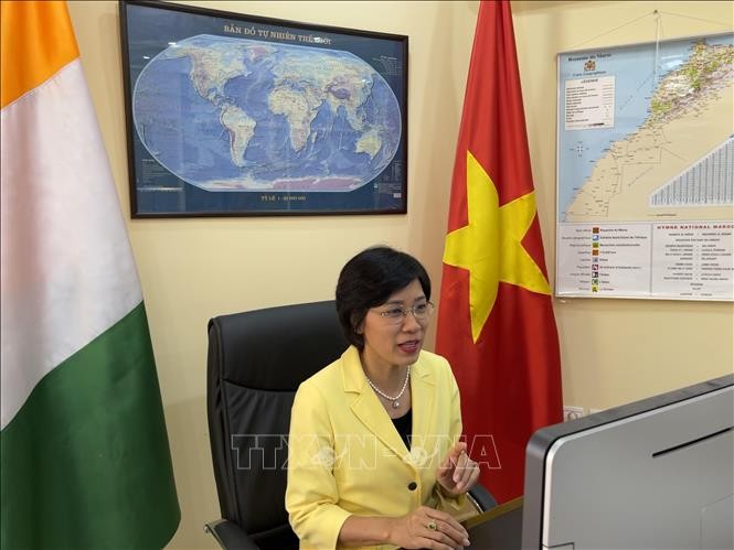  Colloque virtuel sur la coopération commerciale Vietnam – Côte d’Ivoire - ảnh 1