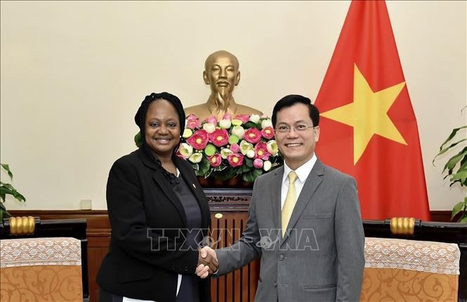 Le vice-ministre des Affaires étrangères Hà Kim Ngoc reçoit son homologue américaine, Bonnie D. Jenkins - ảnh 1