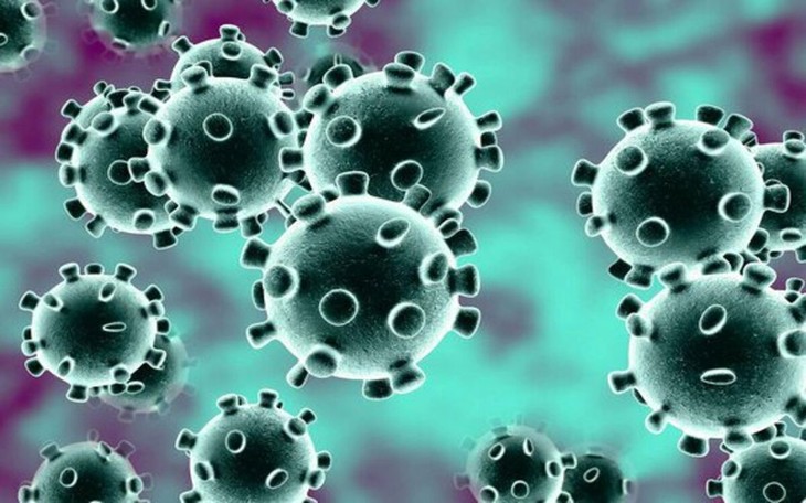 6 chủng virus Covid-19 và triệu chứng bệnh tương ứng - ảnh 3