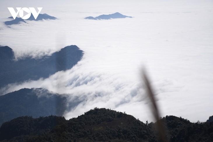 Chinh phục đỉnh Chiêu Lầu Thi 2402m bồng bềnh giữa biển mây - ảnh 20