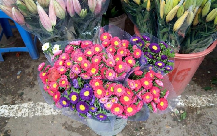 Chợ hoa Quảng An rộn ràng sắc hương những ngày cận Tết - ảnh 10