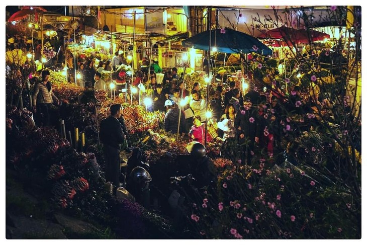 Nhộn nhịp chợ hoa đêm Quảng An những ngày giáp Tết - ảnh 4