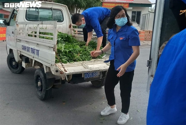 Nông dân Bắc Ninh hái 3.000 mớ rau tặng khu vực bị cách ly - ảnh 8
