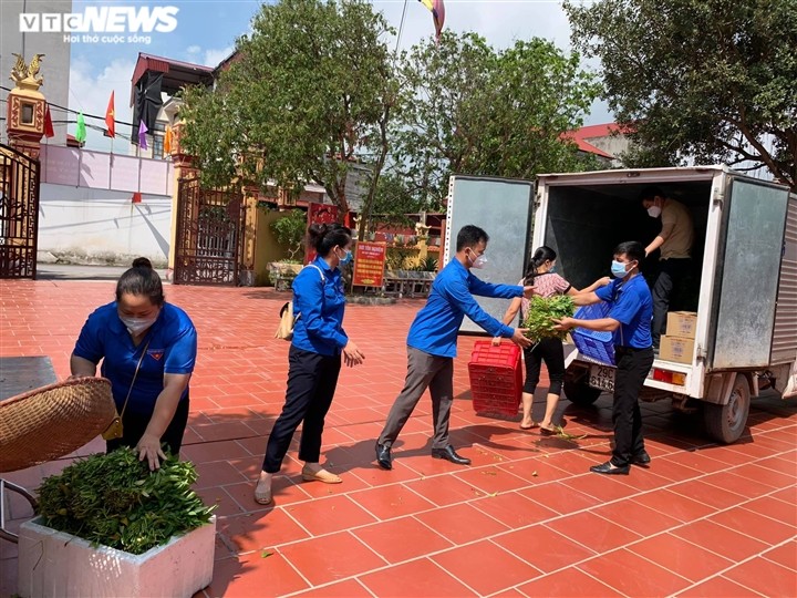 Nông dân Bắc Ninh hái 3.000 mớ rau tặng khu vực bị cách ly - ảnh 7