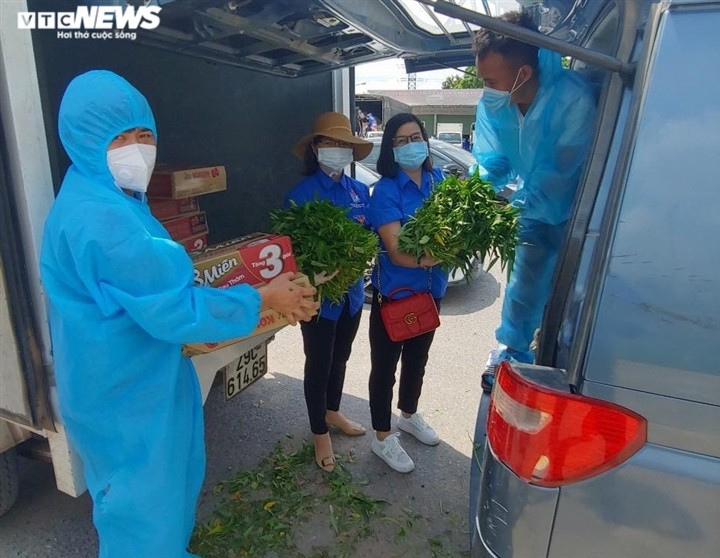 Nông dân Bắc Ninh hái 3.000 mớ rau tặng khu vực bị cách ly - ảnh 10