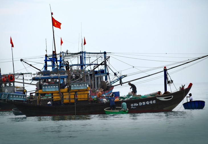 Chợ cá Bình Minh - ảnh 1