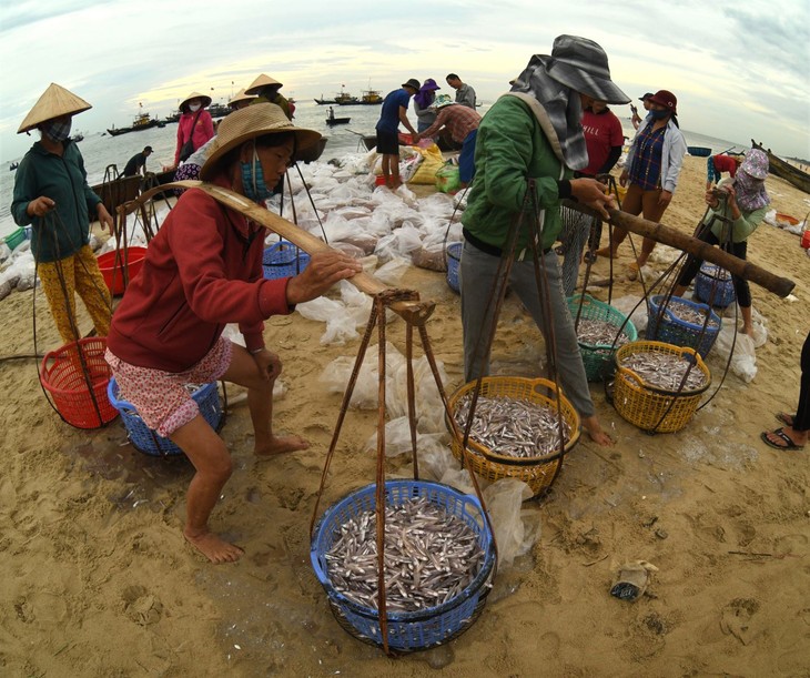 Chợ cá Bình Minh - ảnh 5