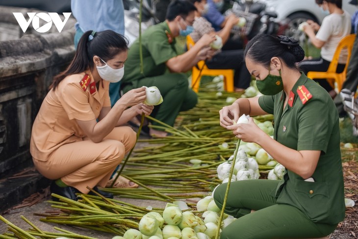 Công an huyện Ứng Hòa lội đầm hỗ trợ bà con thu hoạch sen - ảnh 14