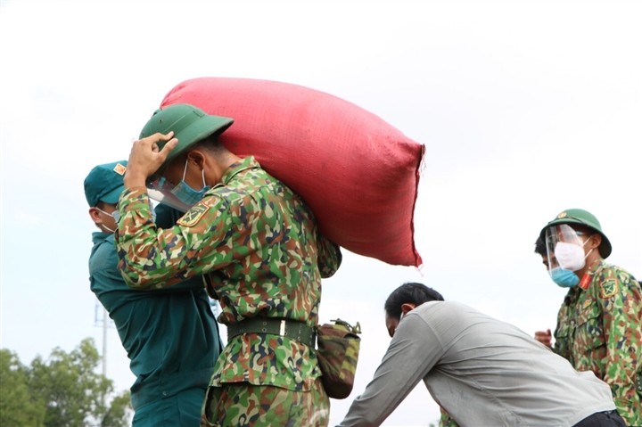 Bộ đội xuống đồng giúp nông dân TP.HCM thu hoạch lúa trong mùa dịch - ảnh 7