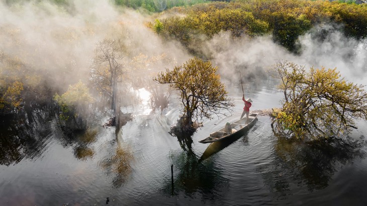Vẻ đẹp rừng ngập mặn Rú Chá ở Huế mùa thay lá - ảnh 9